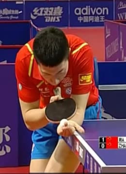 的合法权益 的合法权益